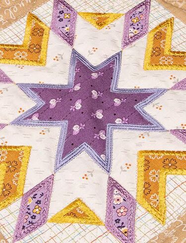 Lori Holt Home Town Quilt – in-The-Hoop Machine Embroidery Project – 2 Quilt Sizes Included – Customized Embroidery Stitches & Quilting Techniques – Formats: DST, EXP, HUS, JEF, PES, VIP, VP3, XXX in Saudi Arabia