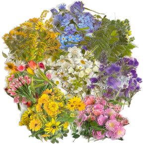 320 Pieces Pressed Flower Themed Stickers Set Floral Elements Transparent Natural Flower Stickers for Scrapbooking Junk Journal Planner Laptops in Saudi Arabia