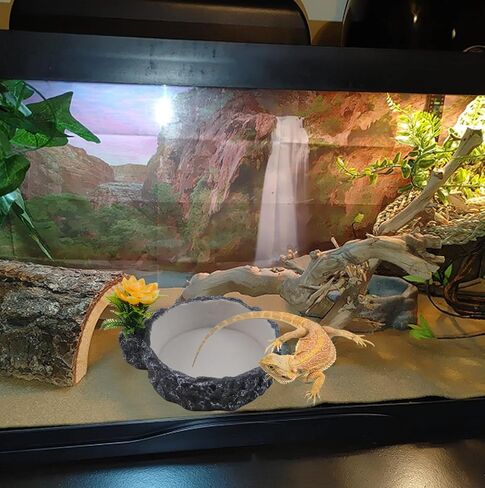 MUYG Reptile Water Bowl Food Dish Resin Rock Reptile Feeder Tortoise Food and Water Feeding Plate Amphibian Drinking Basin Reptile Habitat Tank Accessories for Turtle Lizard Leopard Gecko Chameleon in Saudi Arabia