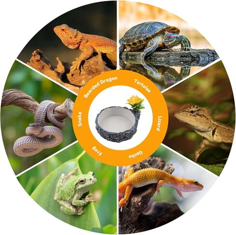 MUYG Reptile Water Bowl Food Dish Resin Rock Reptile Feeder Tortoise Food and Water Feeding Plate Amphibian Drinking Basin Reptile Habitat Tank Accessories for Turtle Lizard Leopard Gecko Chameleon in Saudi Arabia
