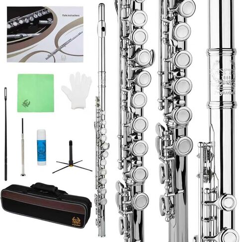 Rhythm C Flutes with Engraved Flower Closed Hole 16 Keys Flute For Student, Beginner with Cleaning Kit, Stand, Carrying Case, Gloves, Tuning Rod, Blue in Kuwait