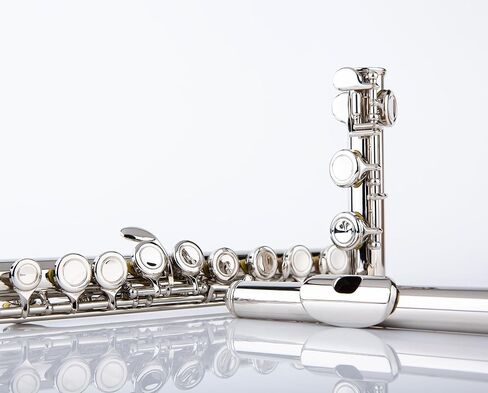 Rhythm C Flutes with Engraved Flower Closed Hole 16 Keys Flute For Student, Beginner with Cleaning Kit, Stand, Carrying Case, Gloves, Tuning Rod, Blue in Kuwait