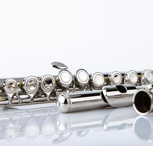 Rhythm C Flutes with Engraved Flower Closed Hole 16 Keys Flute For Student, Beginner with Cleaning Kit, Stand, Carrying Case, Gloves, Tuning Rod, Blue in Kuwait