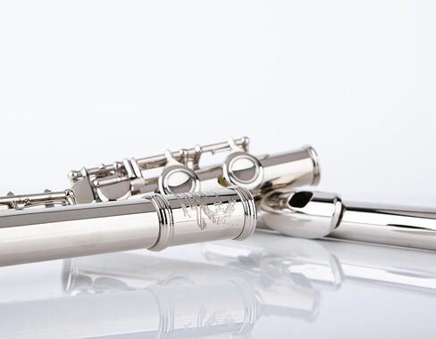 Rhythm C Flutes with Engraved Flower Closed Hole 16 Keys Flute For Student, Beginner with Cleaning Kit, Stand, Carrying Case, Gloves, Tuning Rod, Blue in Kuwait