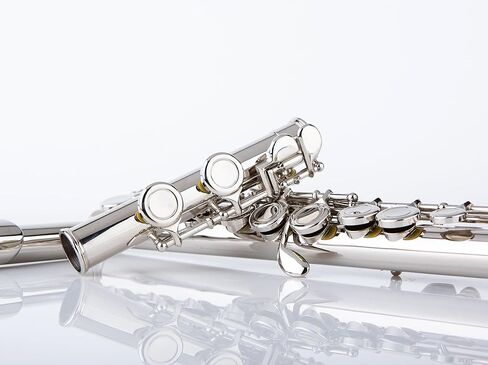 Rhythm C Flutes with Engraved Flower Closed Hole 16 Keys Flute For Student, Beginner with Cleaning Kit, Stand, Carrying Case, Gloves, Tuning Rod, Blue in Kuwait