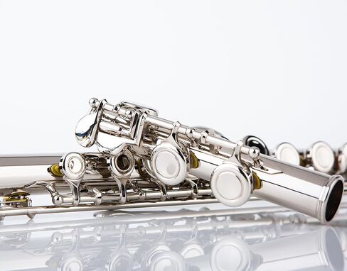 Rhythm C Flutes with Engraved Flower Closed Hole 16 Keys Flute For Student, Beginner with Cleaning Kit, Stand, Carrying Case, Gloves, Tuning Rod, Blue in Kuwait