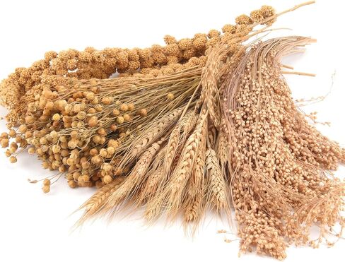 مجموعة بخاخات عضوية لمفروشات الهامستر، بتلات الزهور، القمح، الكتان، الدخن، كوز الذرة، سيقان الذرة الرفيعة، ملحقات ديكور فراش الحيوانات الأليفة للهامستر، الجربوع، الديجوس، أو الحيوانات الصغيرة in Kuwait