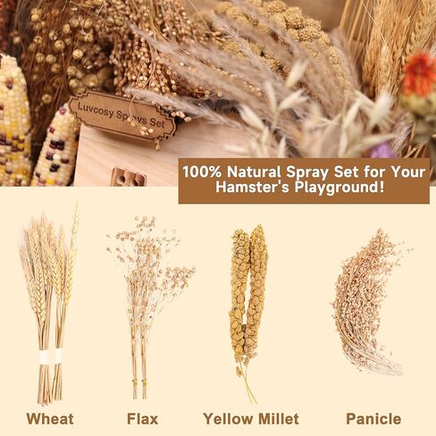 مجموعة بخاخات عضوية لمفروشات الهامستر، بتلات الزهور، القمح، الكتان، الدخن، كوز الذرة، سيقان الذرة الرفيعة، ملحقات ديكور فراش الحيوانات الأليفة للهامستر، الجربوع، الديجوس، أو الحيوانات الصغيرة in Kuwait