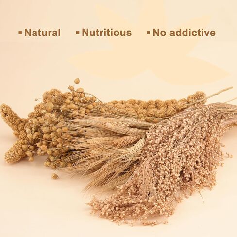 مجموعة بخاخات عضوية لمفروشات الهامستر، بتلات الزهور، القمح، الكتان، الدخن، كوز الذرة، سيقان الذرة الرفيعة، ملحقات ديكور فراش الحيوانات الأليفة للهامستر، الجربوع، الديجوس، أو الحيوانات الصغيرة in Kuwait