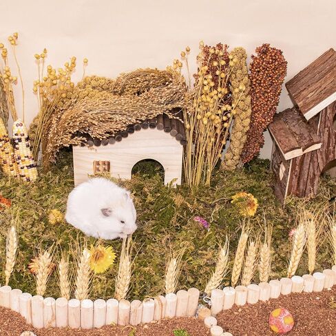 مجموعة بخاخات عضوية لمفروشات الهامستر، بتلات الزهور، القمح، الكتان، الدخن، كوز الذرة، سيقان الذرة الرفيعة، ملحقات ديكور فراش الحيوانات الأليفة للهامستر، الجربوع، الديجوس، أو الحيوانات الصغيرة in Kuwait