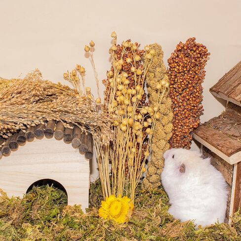 مجموعة بخاخات عضوية لمفروشات الهامستر، بتلات الزهور، القمح، الكتان، الدخن، كوز الذرة، سيقان الذرة الرفيعة، ملحقات ديكور فراش الحيوانات الأليفة للهامستر، الجربوع، الديجوس، أو الحيوانات الصغيرة in Kuwait