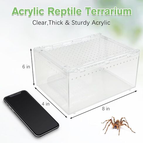 Acrylic Reptile Terrarium Enclosure 9.8" x 5.9" x 5.9" Magnetic Tarantula Breeding Box Transparent Insect Habitat for Jumping Spider Hermit Crab Lizard Sling Isopods Horned Frog Snake Gecko in Saudi Arabia