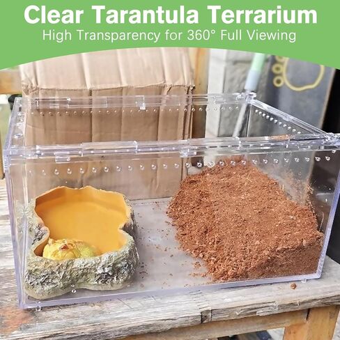 Acrylic Reptile Terrarium Enclosure 9.8" x 5.9" x 5.9" Magnetic Tarantula Breeding Box Transparent Insect Habitat for Jumping Spider Hermit Crab Lizard Sling Isopods Horned Frog Snake Gecko in Saudi Arabia