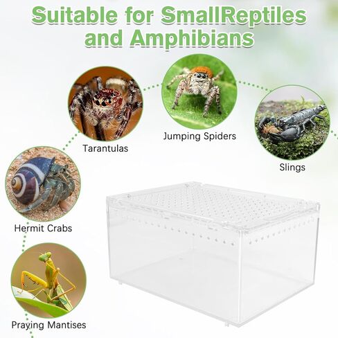 Acrylic Reptile Terrarium Enclosure 9.8" x 5.9" x 5.9" Magnetic Tarantula Breeding Box Transparent Insect Habitat for Jumping Spider Hermit Crab Lizard Sling Isopods Horned Frog Snake Gecko in Saudi Arabia