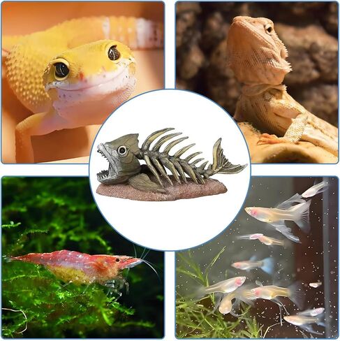 kathson Large Resin Dinosaur Triceratops Skull Décor Aquarium Decoration Reptiles Hideout Fish Tank Ornament Home Landscape Decor in Saudi Arabia