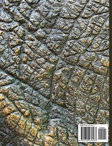 Jurassic Notebook: Wide-Ruled 150 Pages in Saudi Arabia