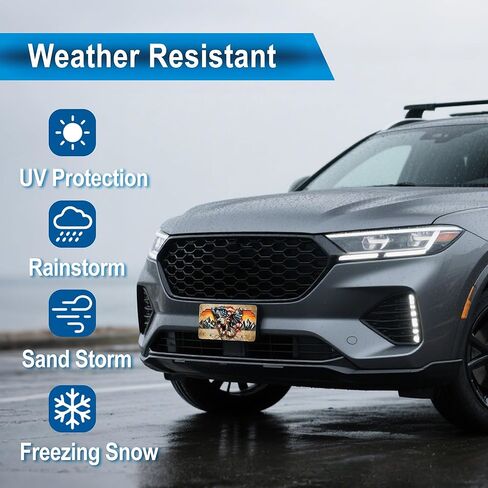 لوحة ترخيص أمامية - لوحة ترخيص من الألومنيوم مقاس 6 × 12 بوصة لتزيين السيارة مع العلم الأمريكي والنسر - لوحة مخصصة للسيارة وسيارات الدفع الرباعي والشاحنة والشاحنة (كرتون) in Kuwait