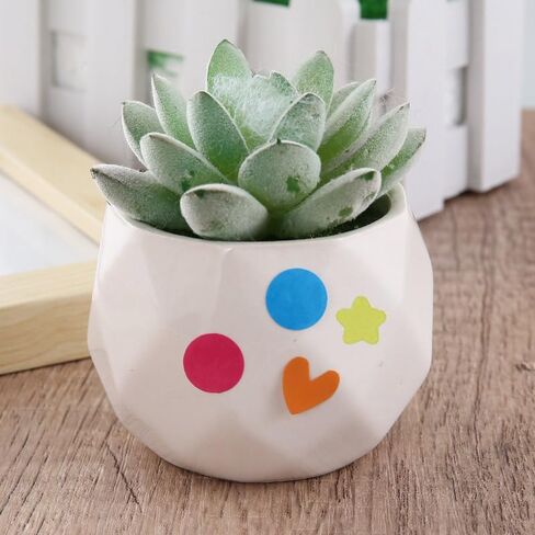 20 Sheets 1540 PCS Colored Dot Stickers Circle Color Coding Labels, 11 Color Colorful Round Stickers for Office, Student Classroom(1/2 Inches) in Saudi Arabia