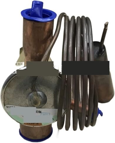 Expansion valve Thermal Expansion Valve BAE1MC in Saudi Arabia