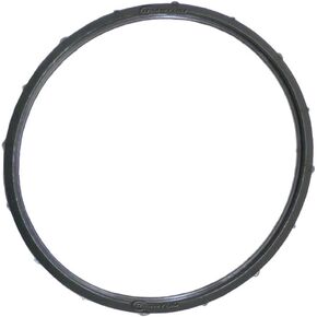 QFS In-Tank EFI Fuel Pump + Tank Seal Gasket + Strainer Replacement for (2006-2015) Yamaha FZ1 FZS1000 / FZ1N / FZ1S Fazer, 2D1-13907-00-00 2D1-13907-01-00