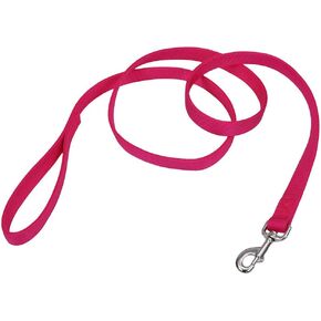 Coastal Pet Double-Ply Dog Leash - Bolt Snap Attachment to Collars and Harnesses - Nylon Dog Walking Leash for Small - Medium and Large Dogs - Pink Flamingo - 1" x 6'
