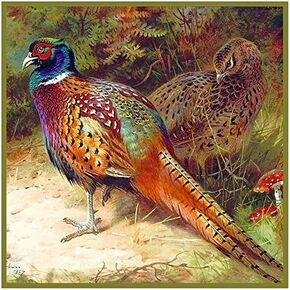Orenco Originals Common Pheasant Detail Thorburn Bird Counted Cross Stitch Pattern