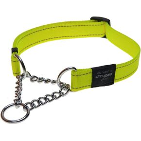 Reflective Nylon Choke Collar; Slip Show Obedience Training Gentle Choker for Large Dogs, Purple