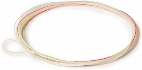 ريو برودكتس ليدرز يورو نيمف ليدر مع حلقة تيبت، شفاف in Kuwait