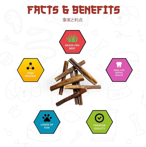 OKINIIRI Bully Sticks for Dogs, 6 inch Premium Best Bully Sticks., 100% Beef Chews, Grass-fed, Grain and Rawhide Free. (6 inch 6 Pieces Bully Sticks) in Saudi Arabia
