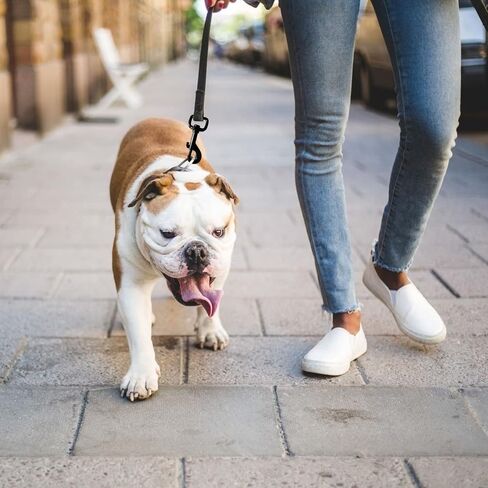 4 قطع دوارة العين بولت المفاجئة السنانير الثقيلة الكلب المقود كليب الكلب المقود يستقر السنانير الزناد كليب المشابك لمقاود الكلب، حقائب الظهر، الأشرطة، يسخر in Kuwait