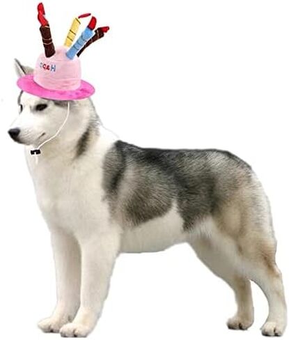 Easyinsmile® Cute Adorable Dog Cat Birthday Cake Hat Pet Cap Pet hat with 5 Color Candles Design Party Custom Accessory (One Size fits Most) (Pink) in Saudi Arabia