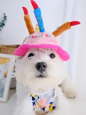 Easyinsmile® Cute Adorable Dog Cat Birthday Cake Hat Pet Cap Pet hat with 5 Color Candles Design Party Custom Accessory (One Size fits Most) (Pink) in Saudi Arabia