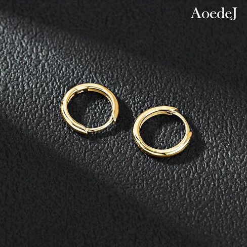 AoedeJ 925 Sterling Silver Hoop Earrings for Women Small Hoopsfor Second Hole Hoops Sterling Silver Huggie Earrings for Girls in Saudi Arabia