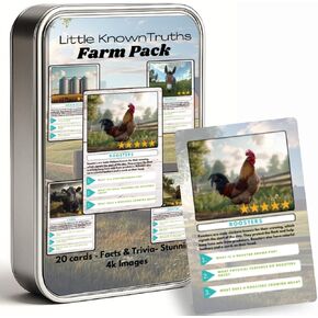 Dinosaur Trivia Flash Cards for Kids Ages 3+, Educational Dinosaur Learning Game, STEM Flash Cards in Metal Tin, Screen-Free Travel Toy in Saudi Arabia
