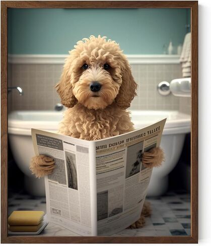 لوحة فنية جدارية للكلاب من Golden Doodle Puppy، ملصق فردي (11 × 14) بوصة غير مؤطر، فن لطيف للكلاب، فن مضحك للكلاب، عاشق رسومات الشعار المبتكرة الذهبية، صور رسومات الشعار المبتكرة الذهبية، ديكور مضحك للكلاب، ديكور رسومات الشعار المبتكرة الذهبية in Kuwait