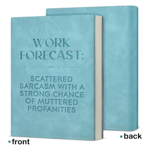 Funny Office Notebook Sarcastic Work Forecast Journal Humor Gifts for Coworker Boss Friend-Blue in Saudi Arabia