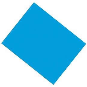 PEACOCK "Pacon PAC53861 Coated Poster Board, Blue, 22"" x 28"", 25 Sheets"