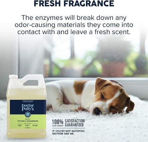 Pickle & Polly All Natural Enzyme Stain and Odor Eliminator for Pets | Powerful Cleaner for Dog and Cat Urine | Spot Cleaner for All Animal Messes (1 Gallon) in Saudi Arabia