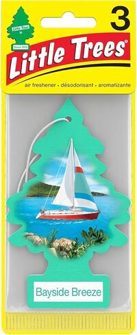 Little Trees Cardboard Hanging Car, Home & Office Air Freshener, Peachy Peach (Pack of 12) in Kuwait