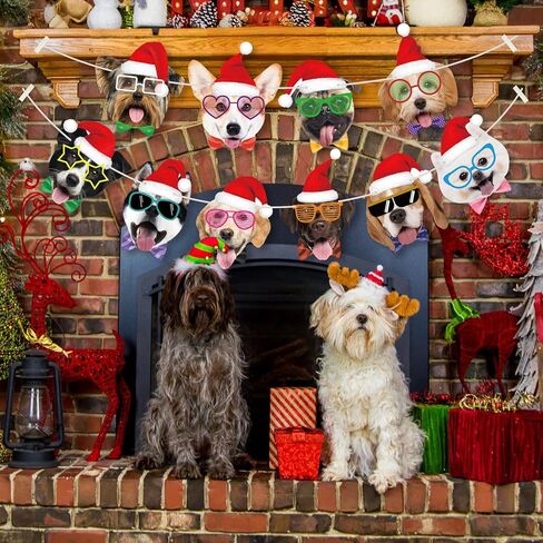 Cat Happy Birthday Banner Cat Birthday Party Decorations Cat Faces Birthday Banner Cat Decorations Banner Garland for Kids Girls Women Cat Birthday Party Supplies in Kuwait