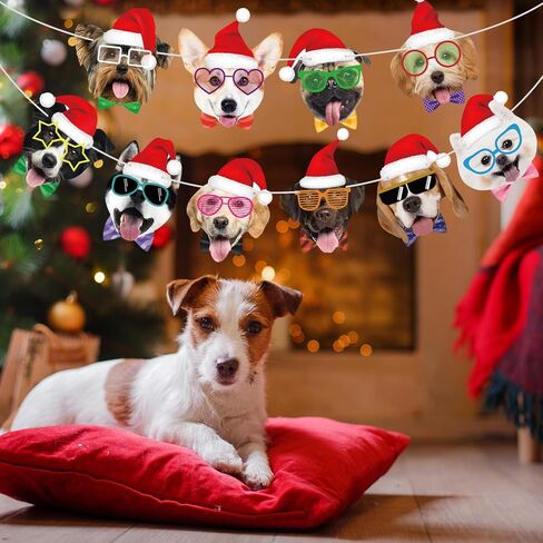 Cat Happy Birthday Banner Cat Birthday Party Decorations Cat Faces Birthday Banner Cat Decorations Banner Garland for Kids Girls Women Cat Birthday Party Supplies in Kuwait