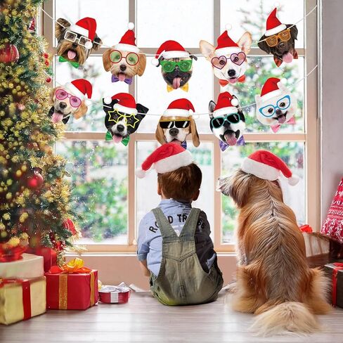 Cat Happy Birthday Banner Cat Birthday Party Decorations Cat Faces Birthday Banner Cat Decorations Banner Garland for Kids Girls Women Cat Birthday Party Supplies in Kuwait