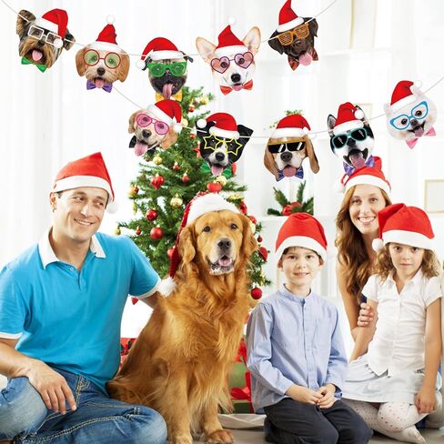 Cat Happy Birthday Banner Cat Birthday Party Decorations Cat Faces Birthday Banner Cat Decorations Banner Garland for Kids Girls Women Cat Birthday Party Supplies in Kuwait