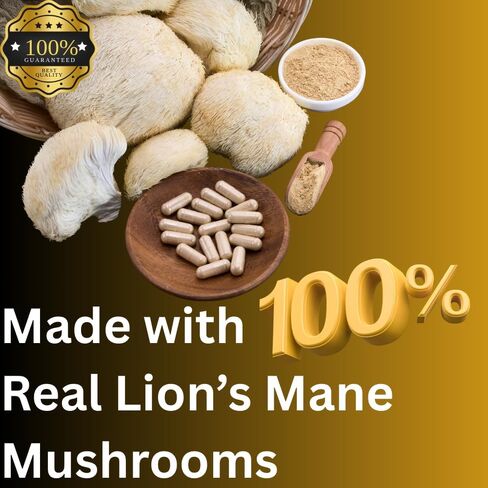 صبغة عرف الأسد من MagMushrooms، عالية الفعالية، مستخلص مزدوج، 60 جرعة يومية in Saudi Arabia