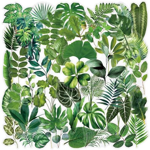 50PCS Forest Stickers PET Transparent Stickers Delious Food Decals Waterproof Decorative Decals for Scrapbook DIY Crafts Album Bullet Journal Planner Water Bottles Laptops (Forest) in Kuwait