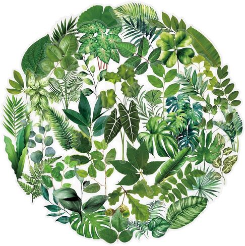 50PCS Forest Stickers PET Transparent Stickers Delious Food Decals Waterproof Decorative Decals for Scrapbook DIY Crafts Album Bullet Journal Planner Water Bottles Laptops (Forest) in Kuwait