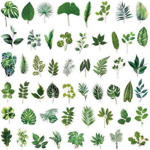 50PCS Forest Stickers PET Transparent Stickers Delious Food Decals Waterproof Decorative Decals for Scrapbook DIY Crafts Album Bullet Journal Planner Water Bottles Laptops (Forest) in Kuwait