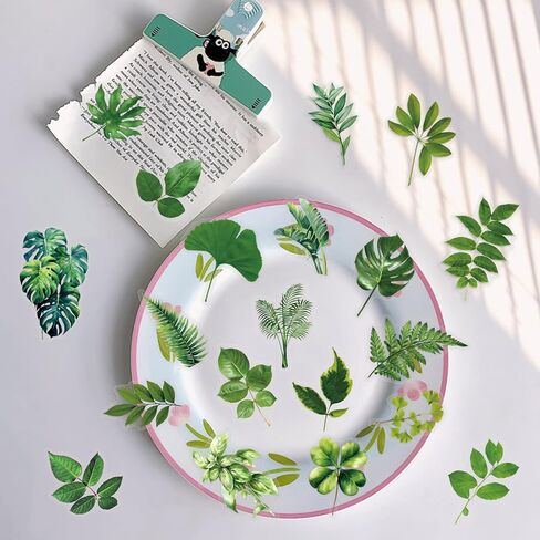 50PCS Forest Stickers PET Transparent Stickers Delious Food Decals Waterproof Decorative Decals for Scrapbook DIY Crafts Album Bullet Journal Planner Water Bottles Laptops (Forest) in Kuwait