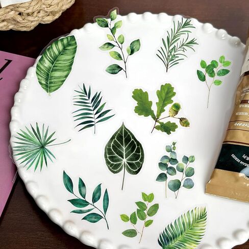 50PCS Forest Stickers PET Transparent Stickers Delious Food Decals Waterproof Decorative Decals for Scrapbook DIY Crafts Album Bullet Journal Planner Water Bottles Laptops (Forest) in Kuwait