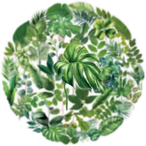 50PCS Forest Stickers PET Transparent Stickers Delious Food Decals Waterproof Decorative Decals for Scrapbook DIY Crafts Album Bullet Journal Planner Water Bottles Laptops (Forest) in Kuwait